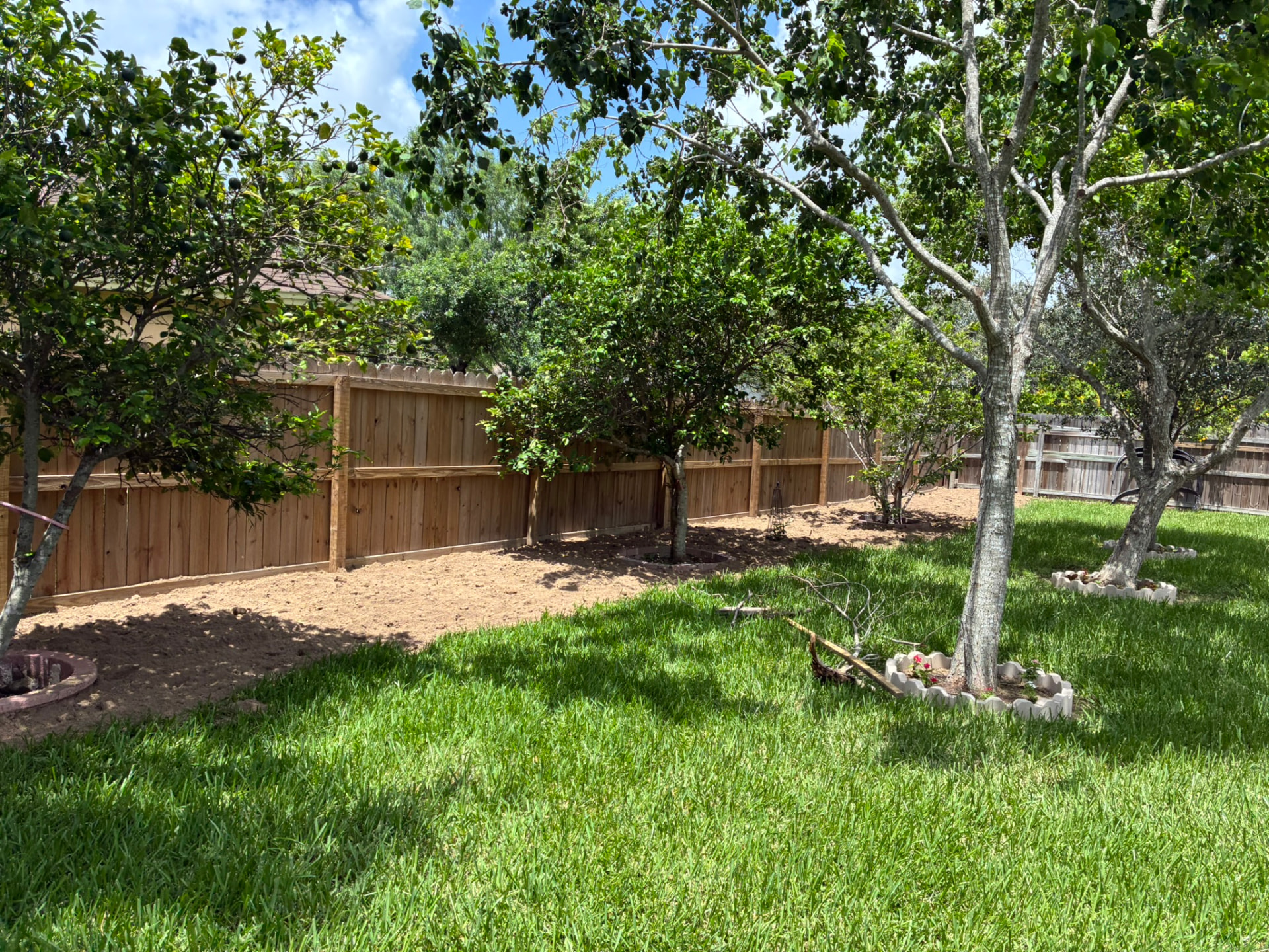 Backyard tree trimming and bed prep — Brownsville, TX