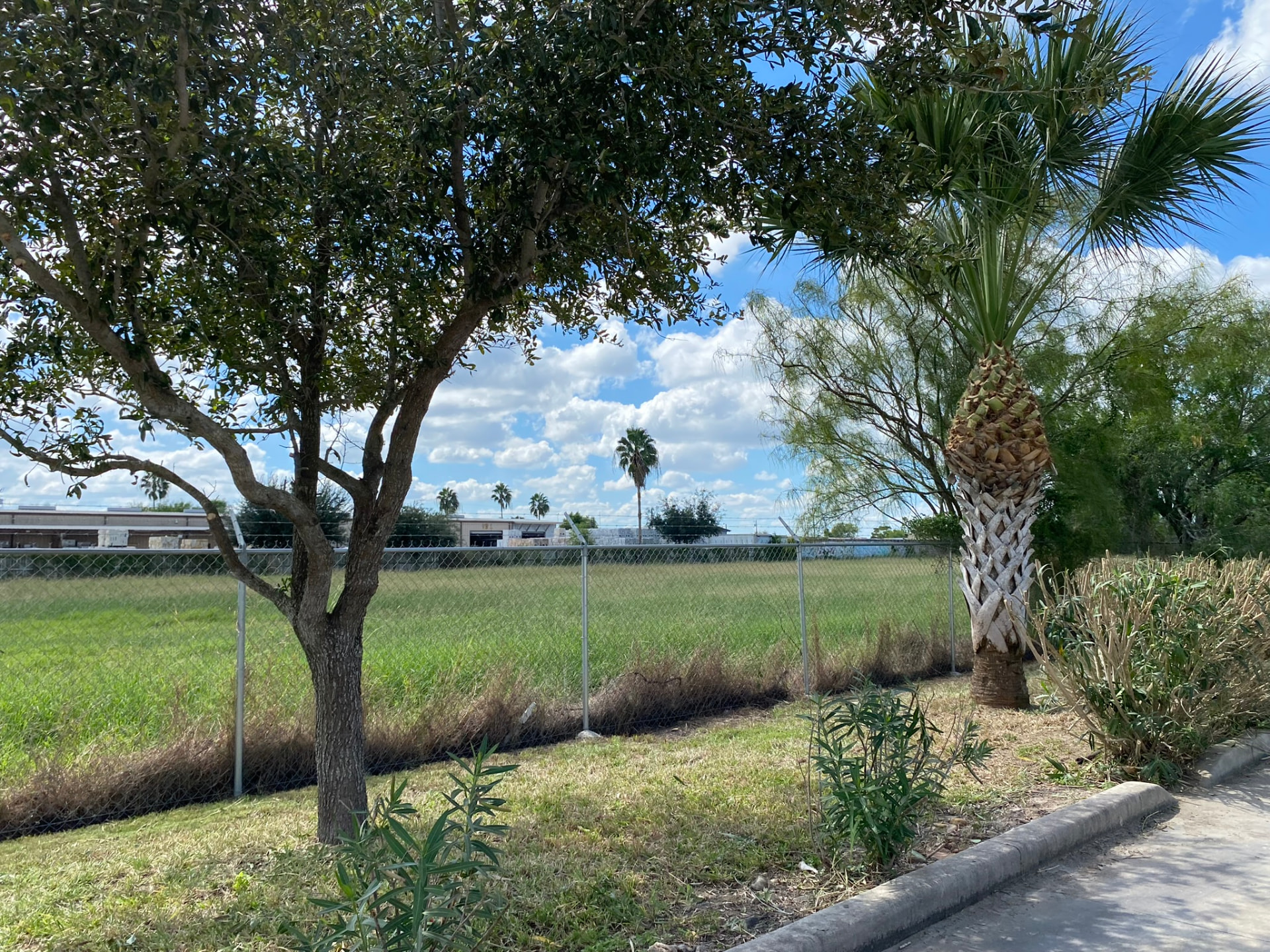 Lot mowing and property grounds care — San Benito, TX