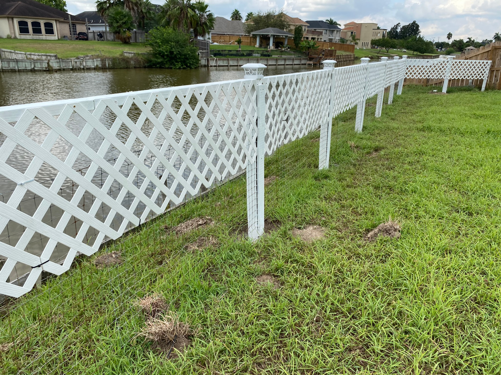 Lattice fence line along the resaca — Rancho Viejo, TX